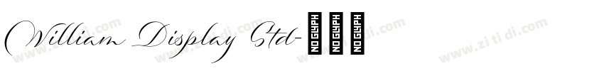 William Display Std字体转换